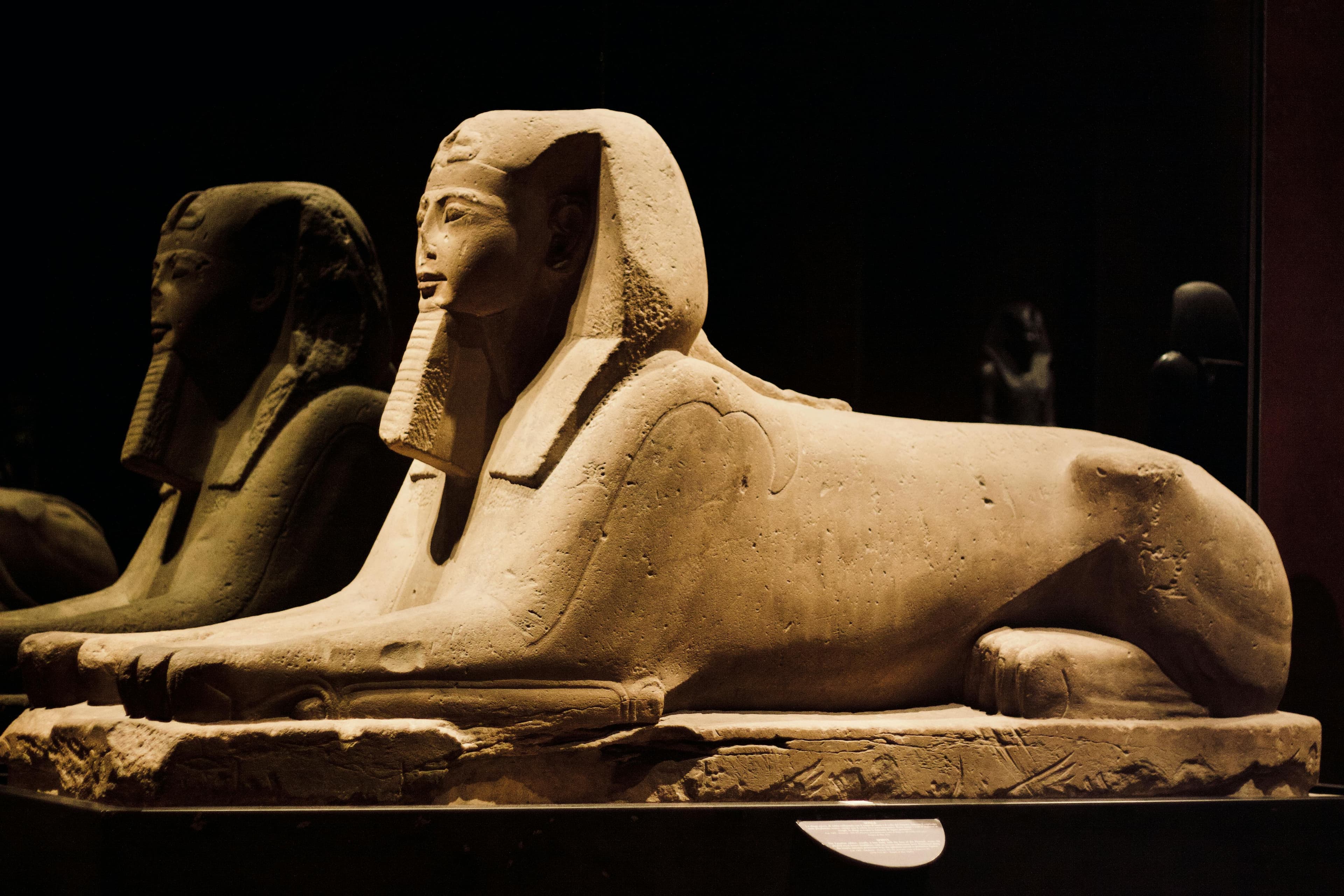 Egyptian Museum Tutankhamun gallery