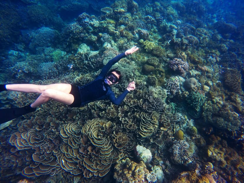 Snorkeling through the reef