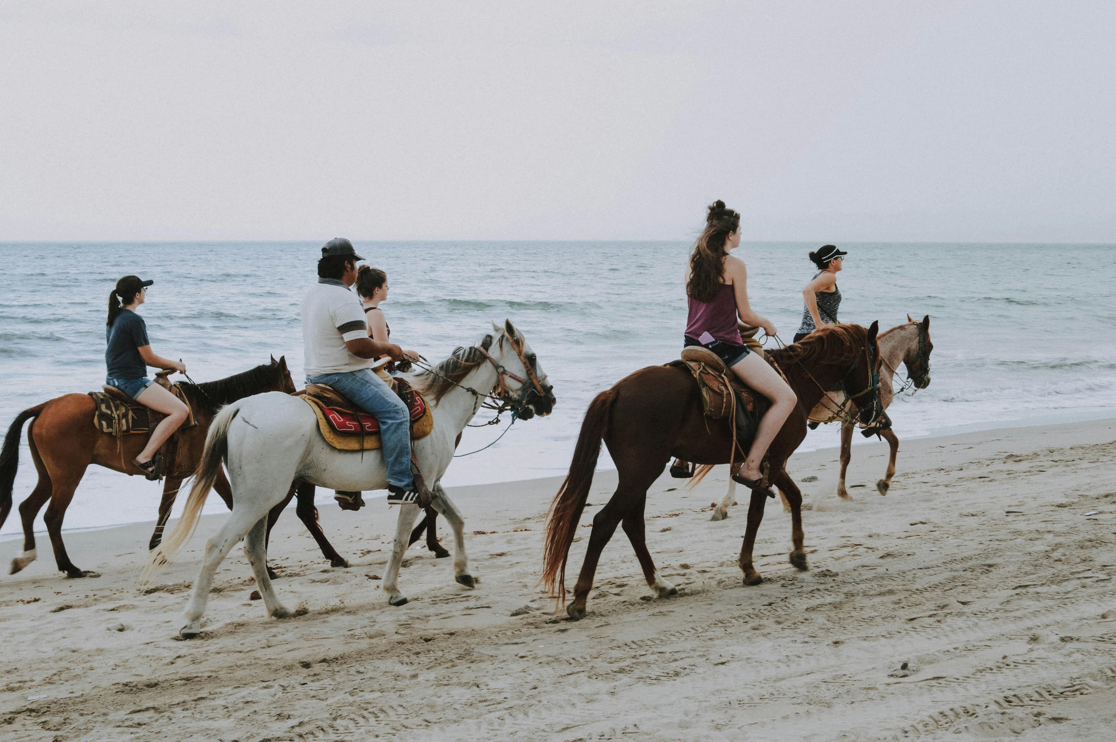 Horse riding on the beach at sunset