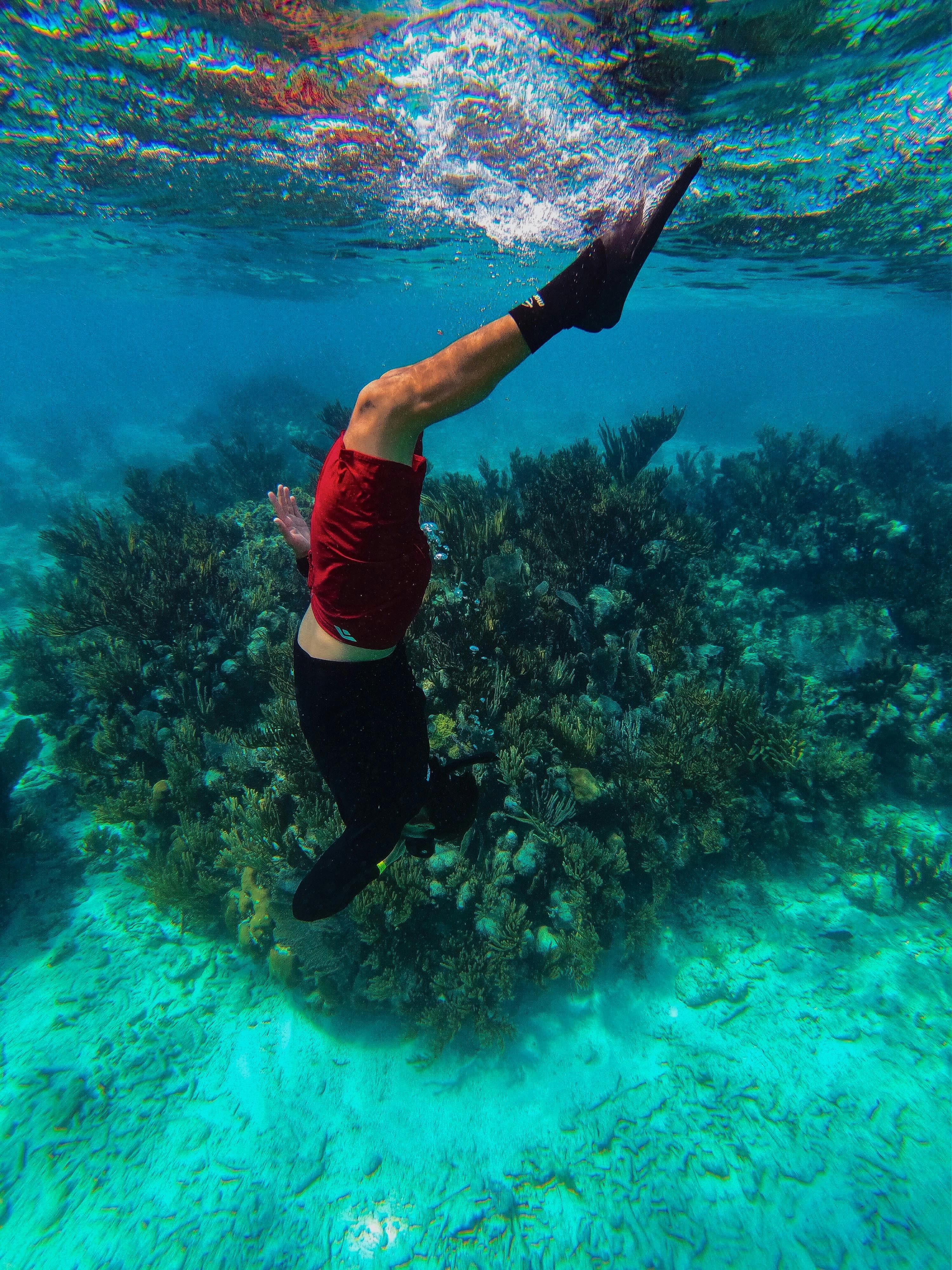 Snorkeling at the coral reef