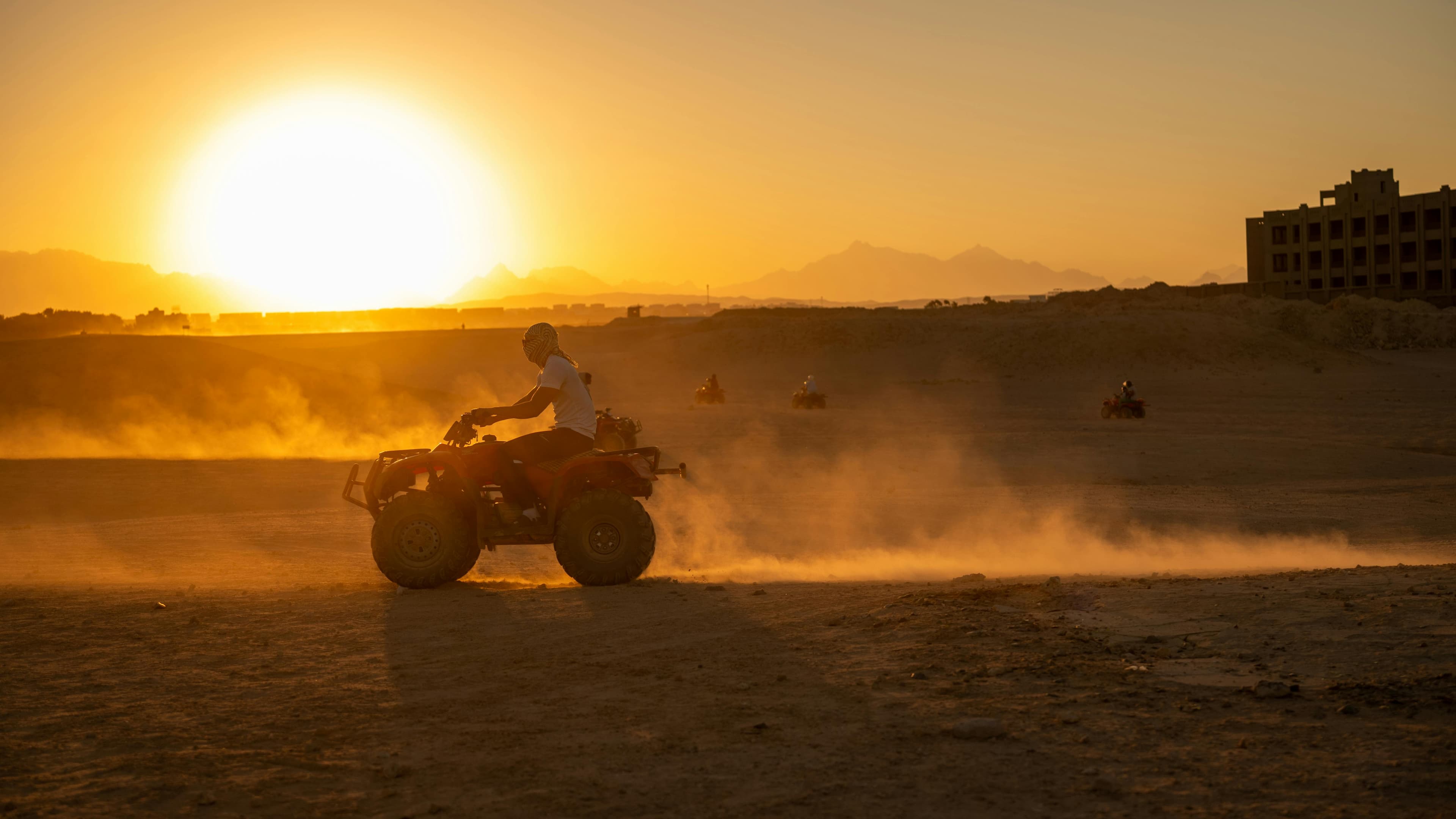 Safari landscape